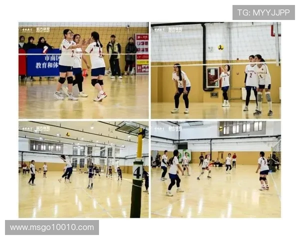 南京排球队在全国排球速度排行榜中荣获第六名的佳绩引发热议