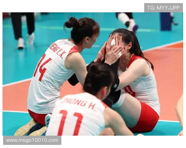 杭州排球队奋勇拼搏全国锦标赛的辉煌历程与未来展望